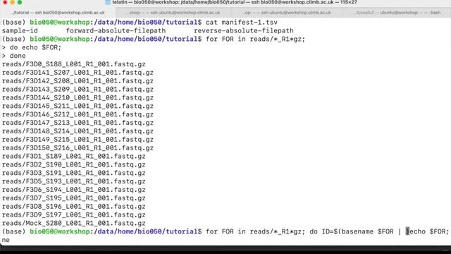 CLIMB 16S Workshop 2020: Importing paired-end reads into a Qiime2 artifact смотреть онлайн