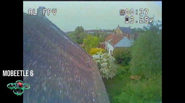 Dynamic Duo | Mobeetle 6 + Mobula 7 1s | Tiny Whoop Freestyle