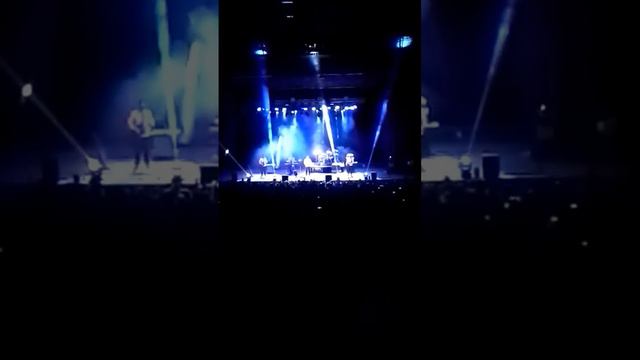 Сплин 16.11.14. Челябинск Всадник смотреть онлайн