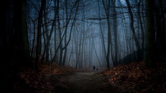 Зинаида Гиппиус. Иди за мной смотреть онлайн