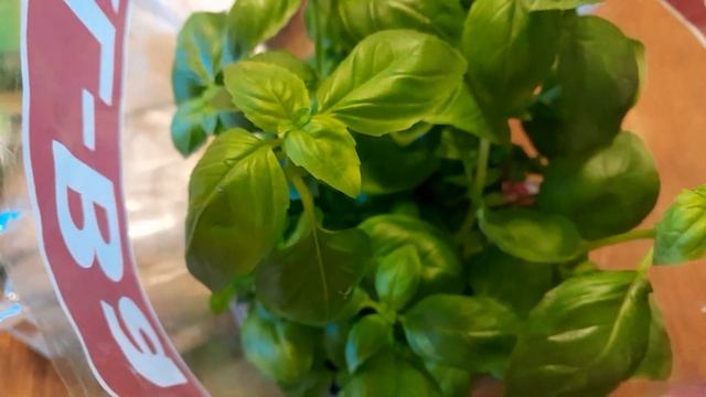 и опять закупачки. смотреть онлайн