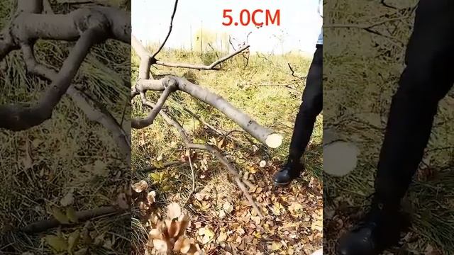 Садовые ножницы для обрезки деревьев. Garden shears for pruning trees смотреть онлайн