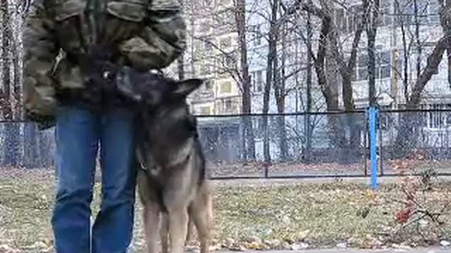 Заяц. Пересобираем команду рядом. 27.10.09 смотреть онлайн