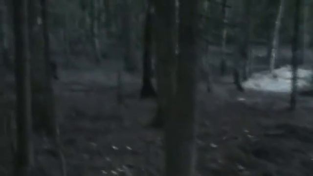 Первая притравка Норы 5, 5 месяцев. смотреть онлайн
