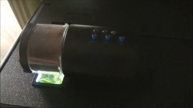 Аквариумные хитрости, или 
как уехать в отпуск...