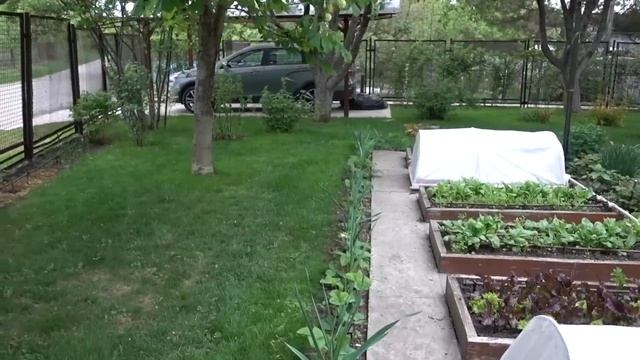 Дача с Галиной Любимовой / Прогулка по весеннему саду смотреть онлайн