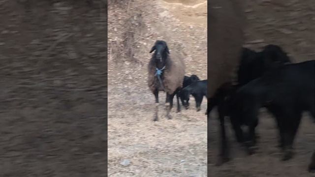 1 марта 2023 г. смотреть онлайн