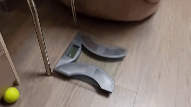 Запретный плод сладок. Хочу туда , куда нельзя.? смотреть онлайн