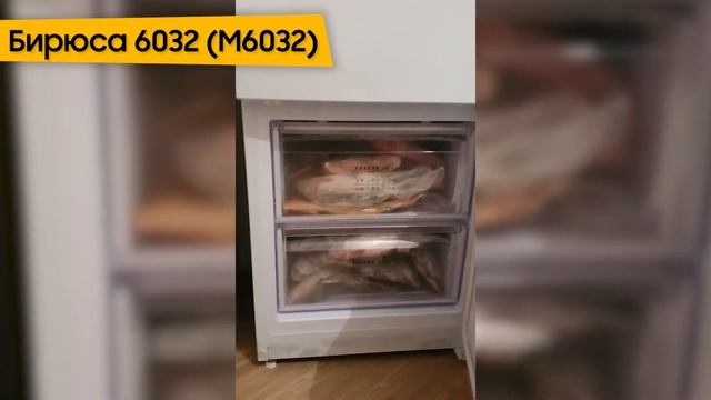 Холодильник Бирюса 6032 (M6032) смотреть онлайн