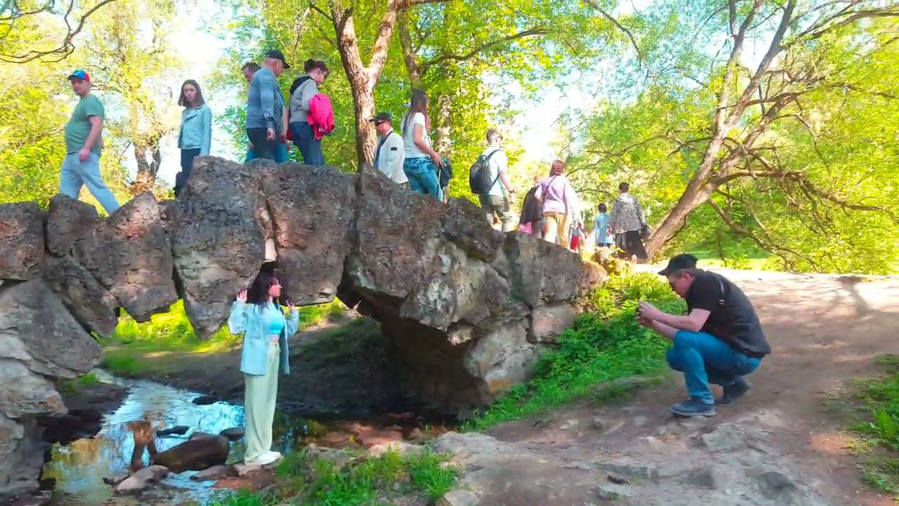 Павловск 21 05 2023 г смотреть онлайн