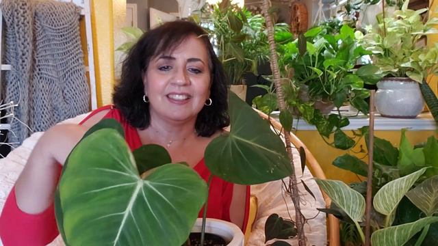 Mis 05 Plantas Favoritas May-Jun смотреть онлайн