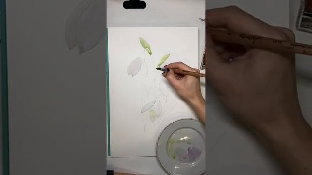 Урок по акварели для начинающих. Подснежник смотреть онлайн