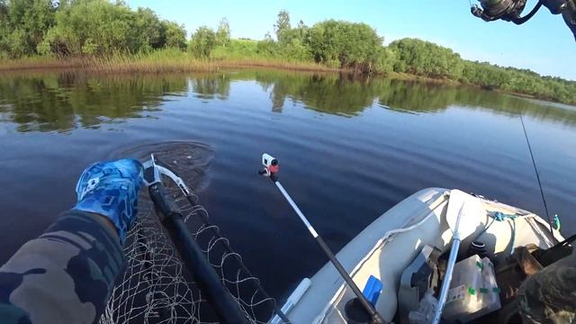 Лозьва 2022. Рыбалка в Тайге. Окунь на Каждом Забросе. Крупная Щука на Микроджиг. смотреть онлайн