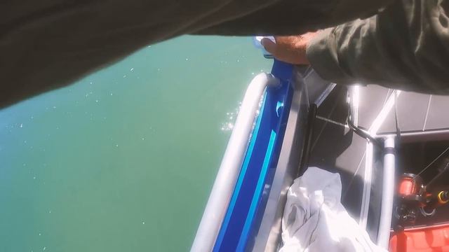 Alone Hunting Fish For Food - SOLO CAMPING Uninhabited Islands - Catch And Cook смотреть онлайн