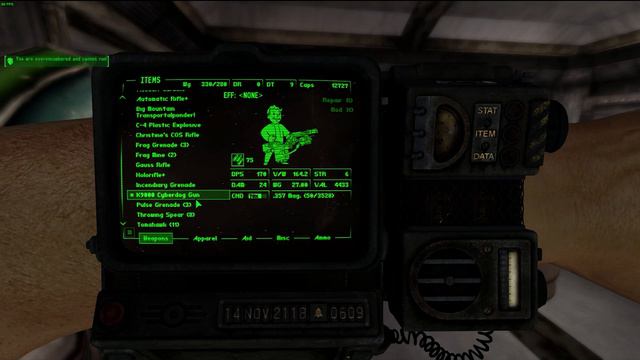 Fallout New Vegas Mod Review : True Scopes смотреть онлайн