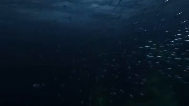 Sea Monsters P3 смотреть онлайн