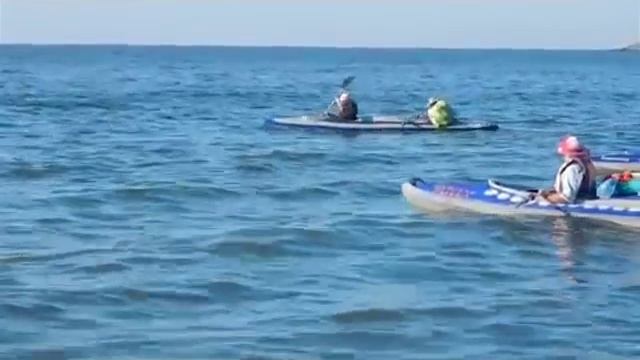 Знали, на что шли смотреть онлайн