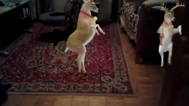 Классные олени смотреть онлайн