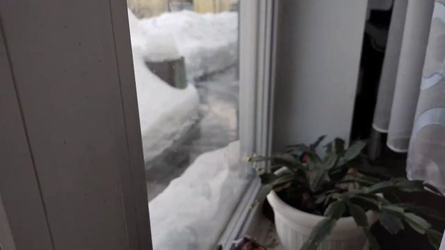 8 Марта прошёл отлично смотреть онлайн
