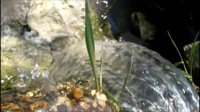 Panasonic DMC-LS60 / Mini Waterfall смотреть онлайн