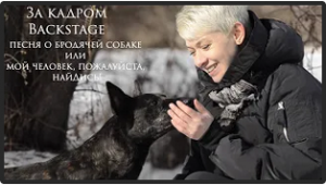За кадром. Съемки ролика к песне «Бродячий пес или мой человек, пожалуйста, найдись!»