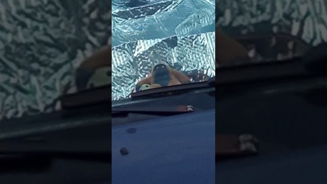 фопрос как вы думаете что такое педиатрическая высота овального круга крючком смотреть онлайн
