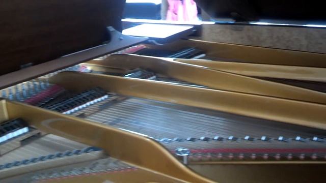 Best Piano Player - Kasa Vue смотреть онлайн