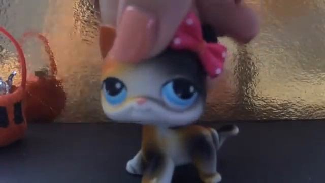 Новинки Lps 2 новые стоячки 😱✨ и котёнок:з смотреть онлайн