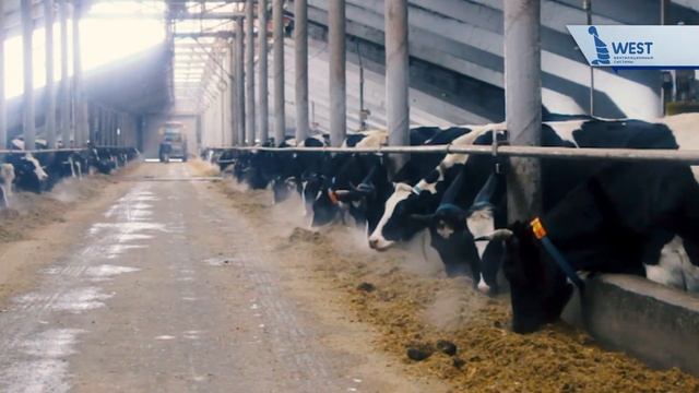 Система естественной приточно-вытяжной вентиляции. смотреть онлайн