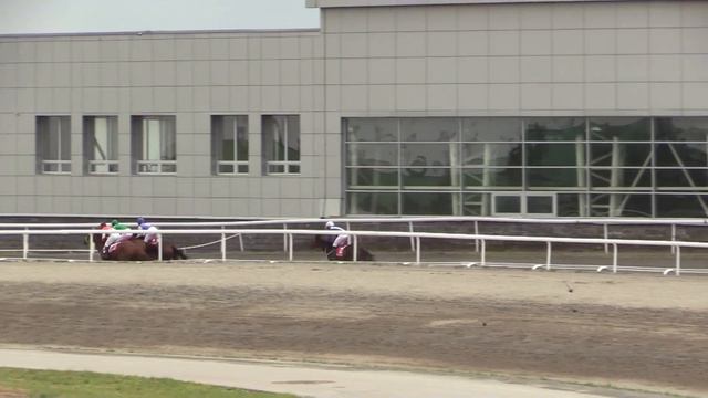 13 Июля 2019 5 Скачка Приз Кримсон Бит смотреть онлайн