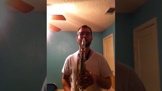 TaiShan Winds TSTS 670 Tenor Saxophone