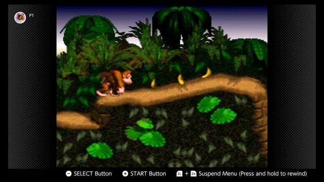 Donkey Kong Country, but NO BANANAS! смотреть онлайн