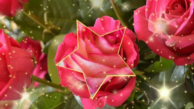 С ДНЁМ РОЖДЕНИЯ! ОЧЕНЬ КРАСИВОЕ МУЗЫКАЛЬНОЕ ПОЗДРАВЛЕНИЕ! смотреть онлайн