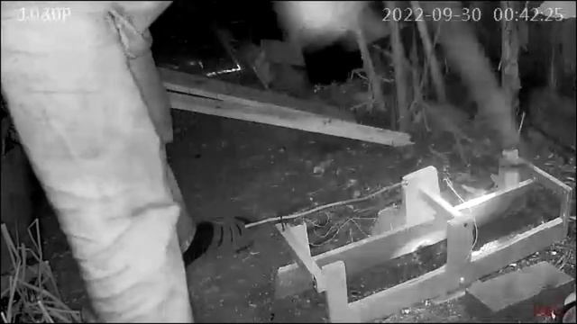 "World's Greatest-Ever Invented Bucket Mouse Trap" Fail vs TRUE World's Best Rat Trap Kills Rat 400 смотреть онлайн