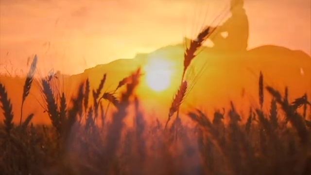 Ночное (музыка Игоря Коровина, стихи Татьяны Хатиной) смотреть онлайн