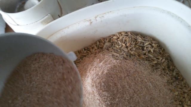 Мускусные утки и Куры. Приготовление зерно смеси для цыплят. смотреть онлайн