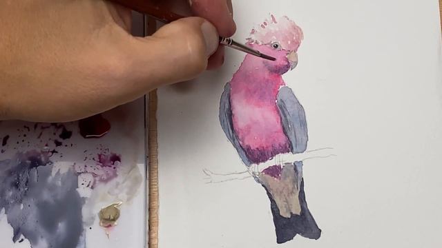 Pink Galah (Cockatoo) detailed watercolour painting смотреть онлайн