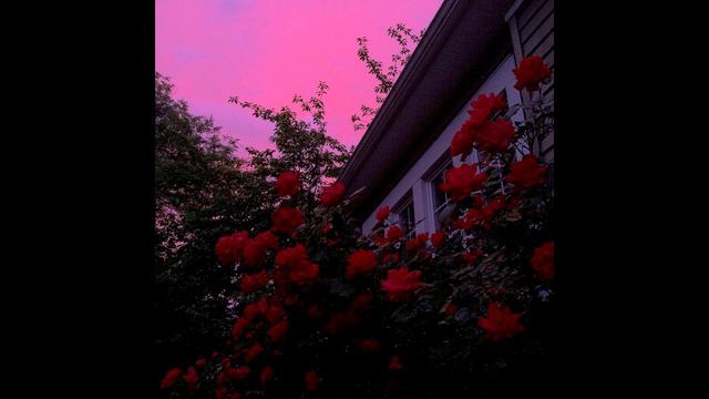 [free for profit] SAD JUICE WRLD type beat "morning" | romantic type beat | sad guitar смотреть онлайн