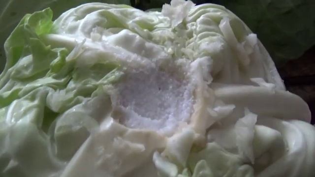 Kako se kiseli kupus / Квашеная капуста целыми кочанами / How to sour cabbage смотреть онлайн