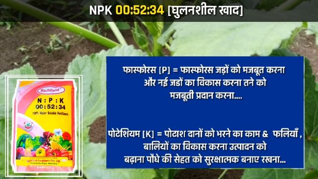 N.P.K 0-52-34 | घुलनशील खाद | NPK | 00:52:34 | Water Soluble Fertilizer #NPK смотреть онлайн