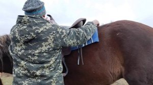 Обьездка лошади, первый раз верхом, часть 2.
