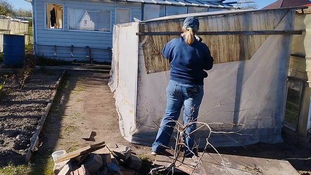 Укрытие для томатов ОГ. Высаживаю помидоры.15.05.22. смотреть онлайн