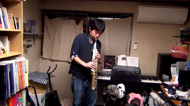 Heidi, Girl of the Alps - Opening (Oshiete) - Soprano Saxophone & Clarinet Cover смотреть онлайн