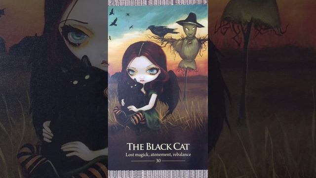 The Black Cat (30)? Oracle of the Shapeshifters card meaning смотреть онлайн