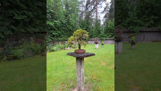 Домашние чтения...17...Осакский замок. смотреть онлайн