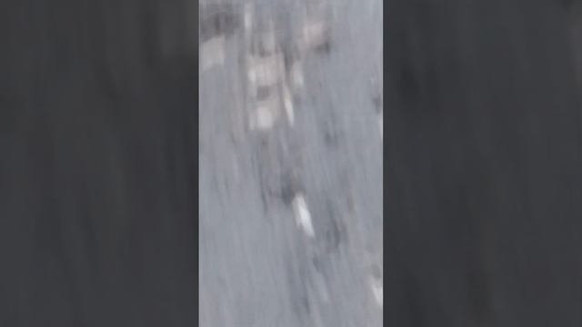 как выглядит голубка девочка и мальчик смотреть онлайн