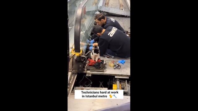 Ultimate Fails Showdown: Epic Girl Fails vs Men's Fails - 2024 Edition! смотреть онлайн