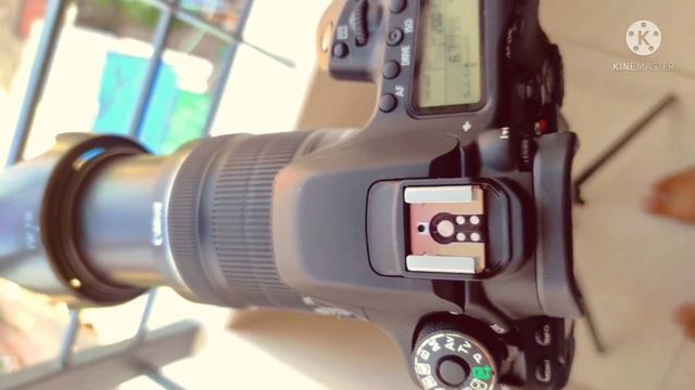 Canon 80D with 18-135 смотреть онлайн