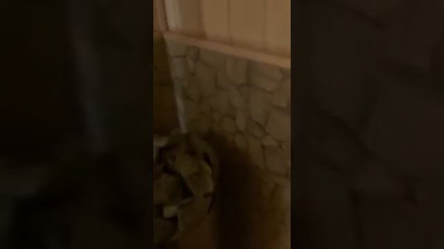 Отзывы об электрокаменках для сауны, как выбрать электрокаменку в сауну? лучше, надежнее и дешевле? смотреть онлайн