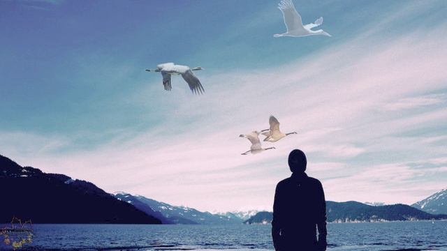 Журавли улетают оставляют грусть обещают мне удачу смотреть онлайн